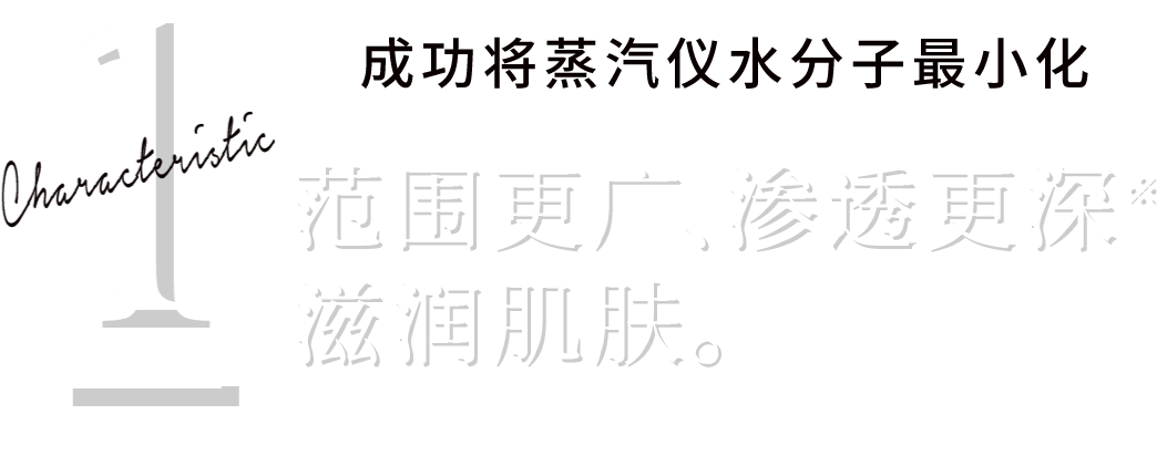 
							Characteristic 1
							スチーム水分子の極小化に成功
							より広く、より深く
							潤いをプラス。※角質層まで
							