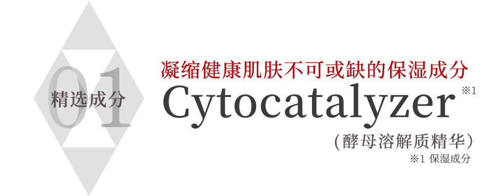 严选成分01 凝结了肌肤不可或缺的保湿成分）※1 Chitocatalizer※1（酵母菌溶胞物提取物）※1保湿成分