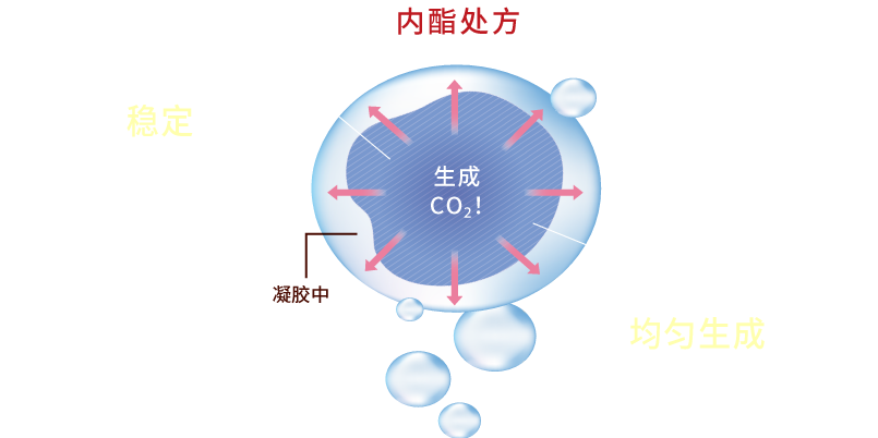 ラクトン処方 ジェル内ムラなくco2が発生 メリット01:より安定的なCO₂を発生！ メリット02:CO₂をジェル中にムラなく発生！