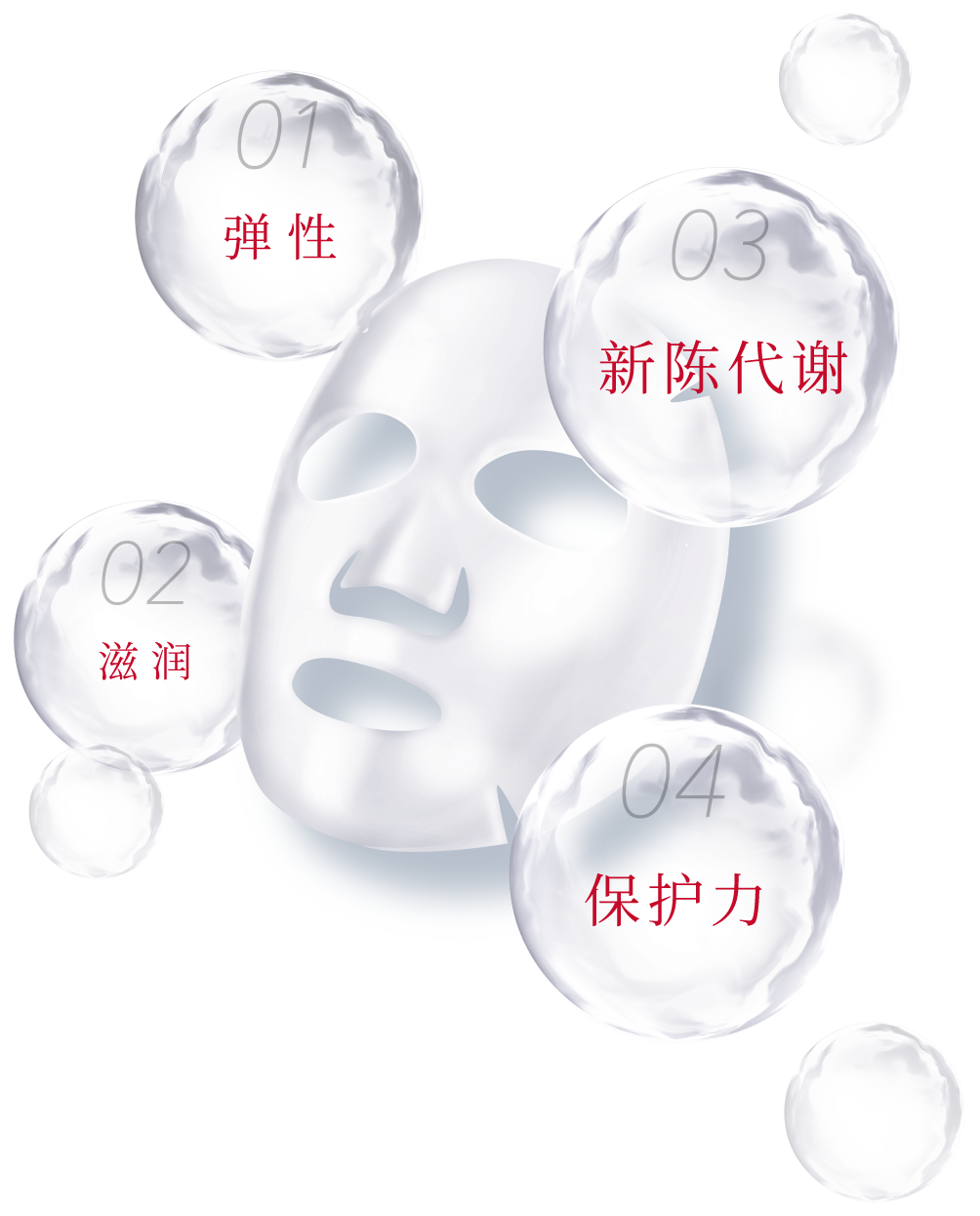 01弹性 02滋润 03肌肤节律支持 04肌肤屏障支持