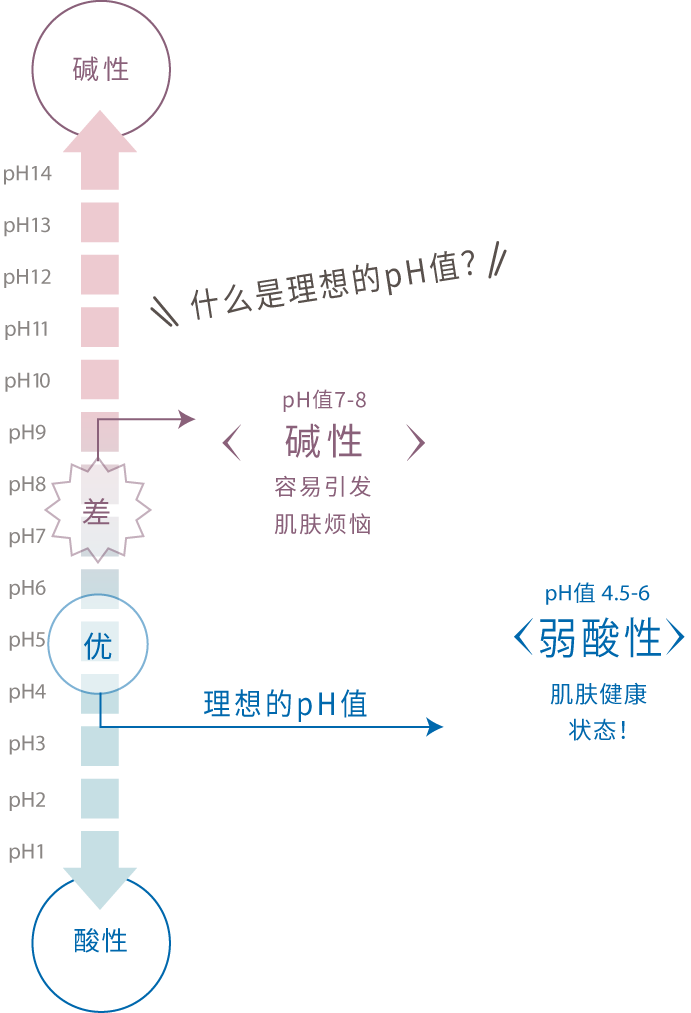 何谓理想的pH值？　不佳　pH値 7-8　碱性　肌肤的烦恼容易出现！/ 佳　理想的pH值　pH値 4.5-6 弱酸性 肌肤是健康状态！