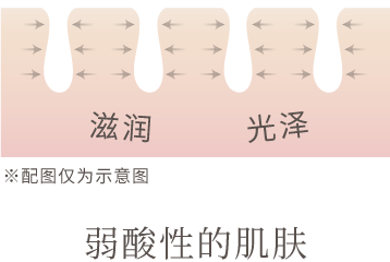 肌肤会滋润而光泽 ※此为示意图
