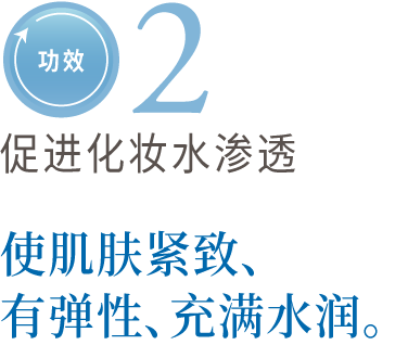 功效2　易于适应化妆水　实现弹性・弹力・润滑的肌肤。