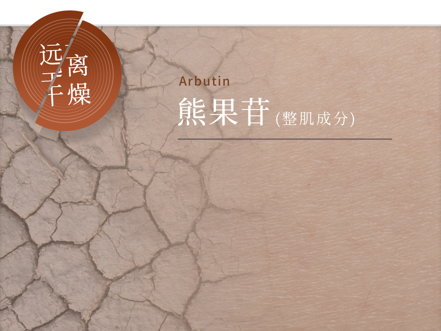 乾燥対策には Arbutin アルブチン(整肌)