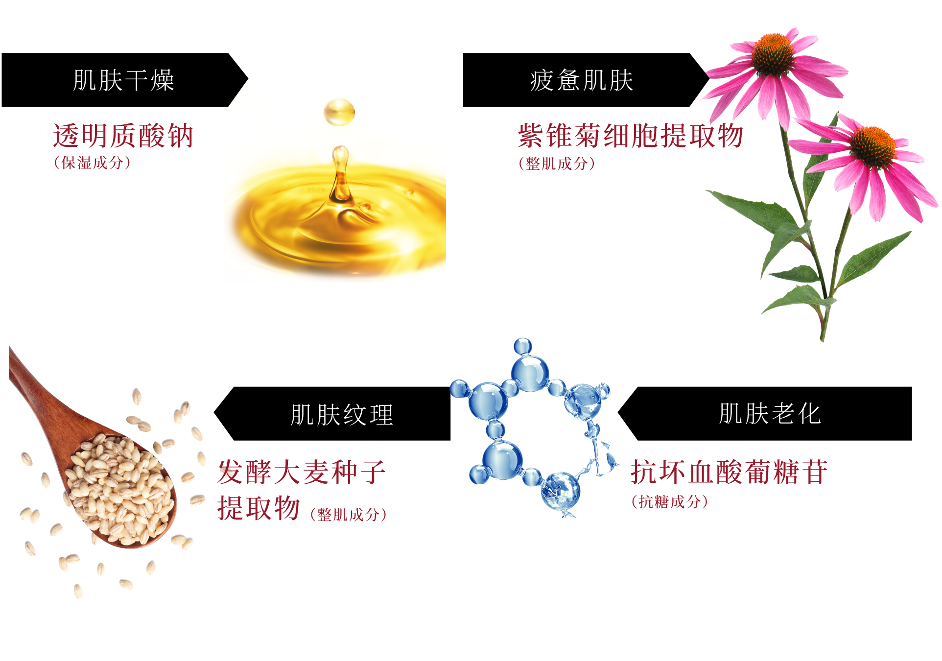 肌の乾燥に:ヒアルロン酸Na（保湿） お疲れ顔に:ホソババレンギク成長点細胞培養物（整肌） 肌のキメに:オオムギ種子発酵エキス（整肌） エイジングサインに:アスコルビルグルコシド（整肌）