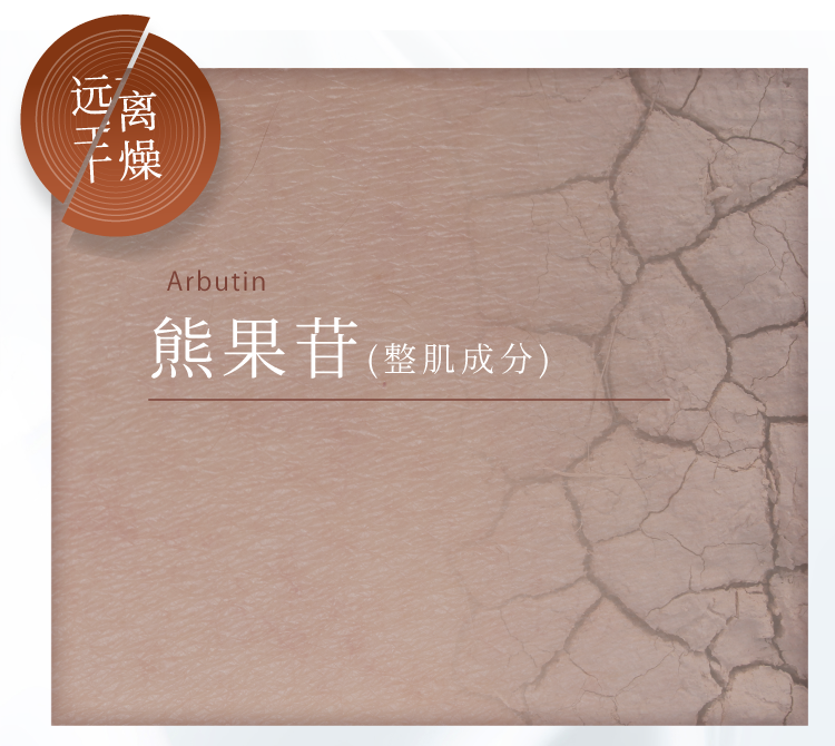 乾燥対策には Arbutin アルブチン(整肌)