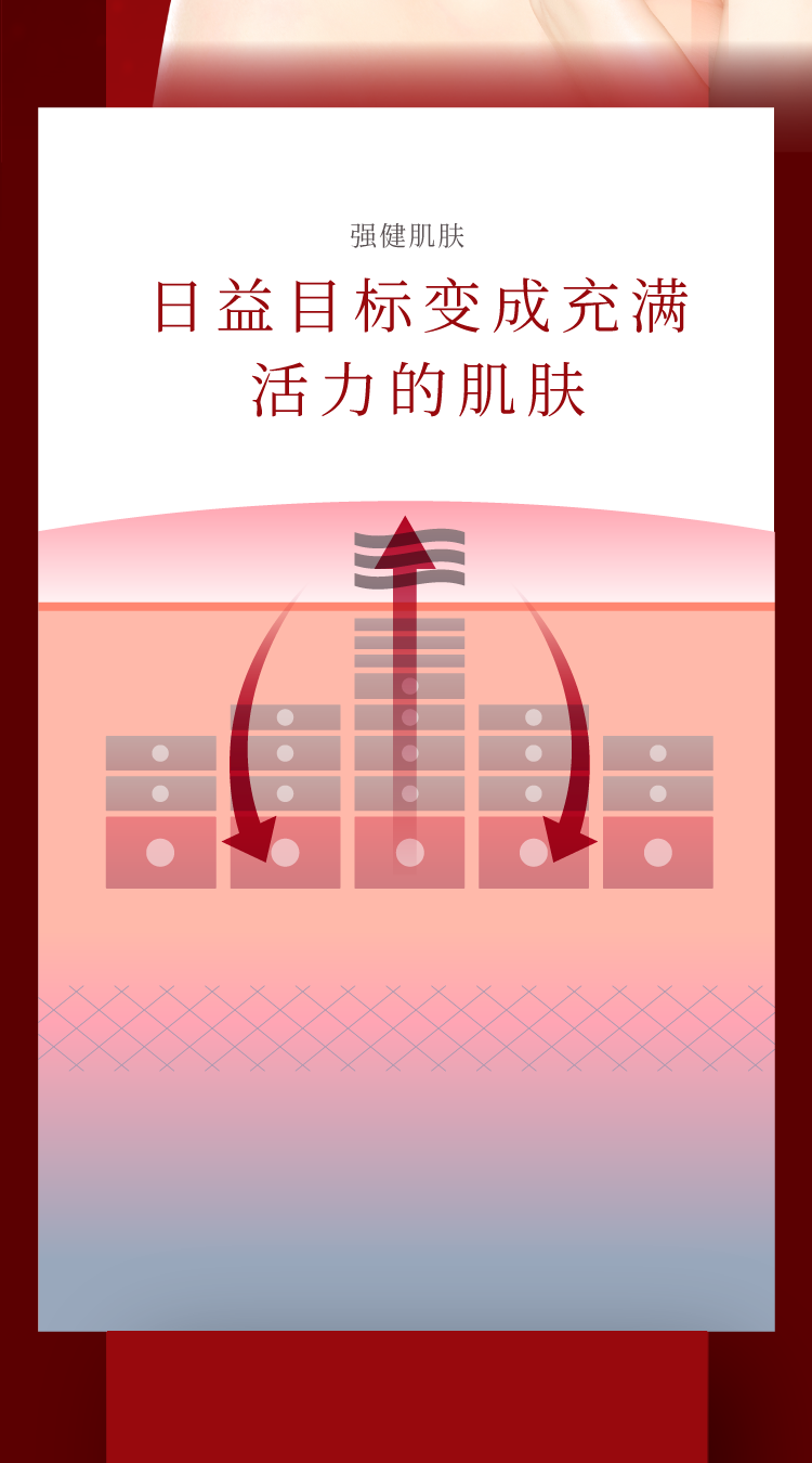 肌健康をサポートして日ごと、若々しさに満ちた素肌へ