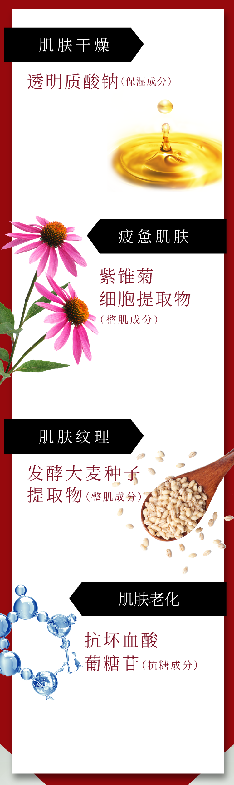 肌の乾燥に:ヒアルロン酸Na（保湿） お疲れ顔に:ホソババレンギク成長点細胞培養物（整肌） 肌のキメに:オオムギ種子発酵エキス（整肌） エイジングサインに:アスコルビルグルコシド（整肌）