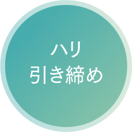 ハリ引き締め