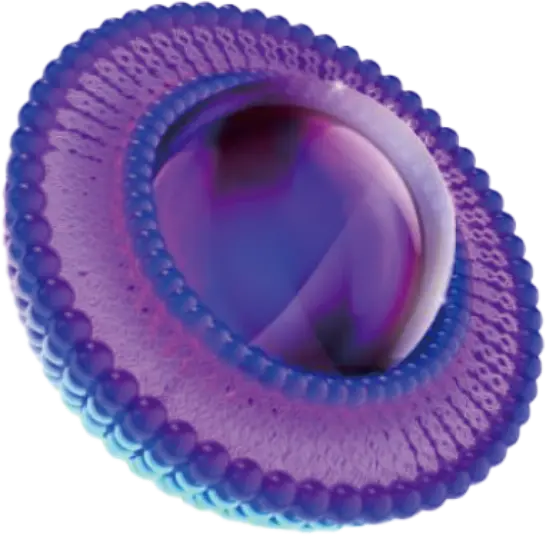 リポソーム型ビタミンCについて