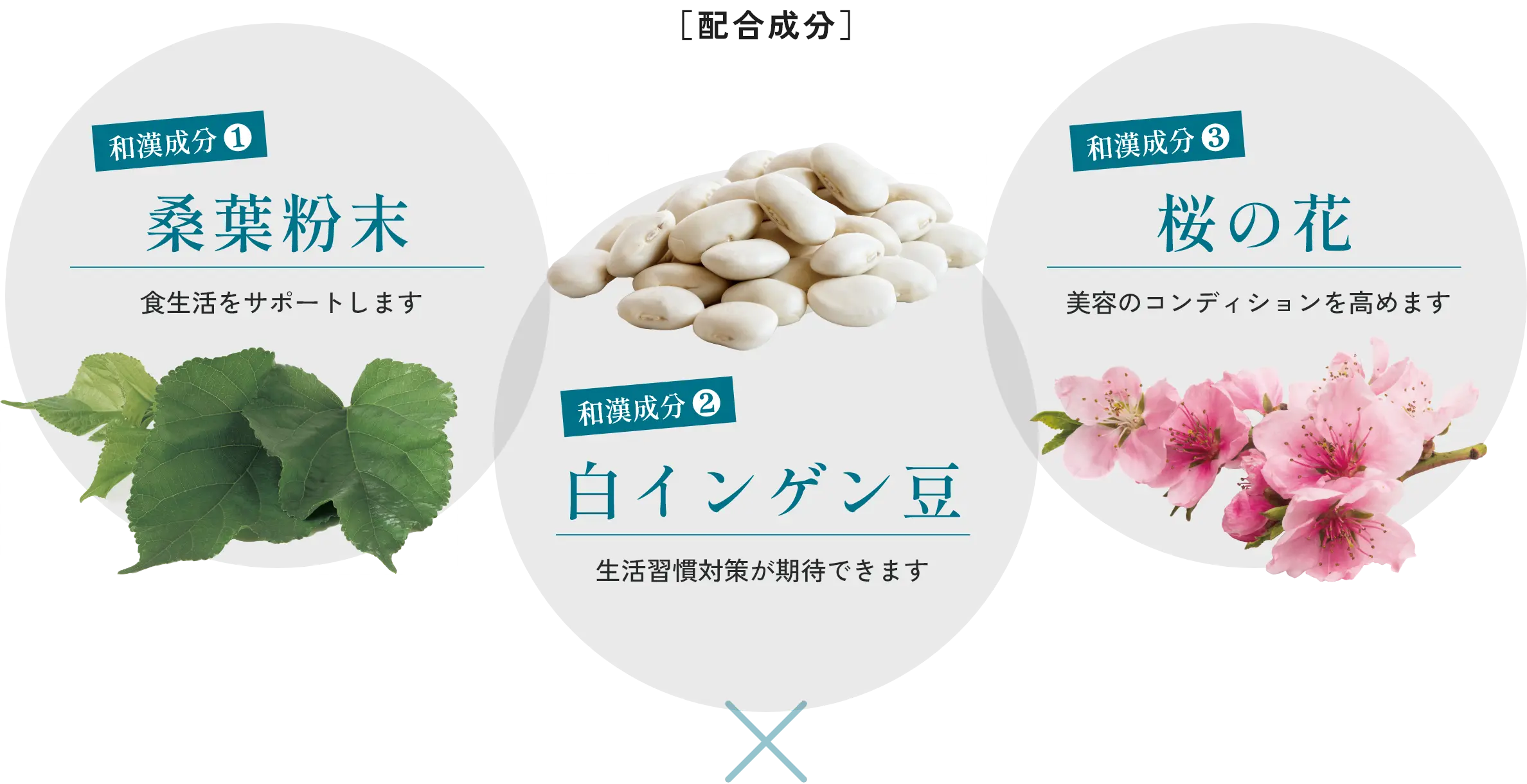 桑葉粉末 白インゲン豆 桜の花