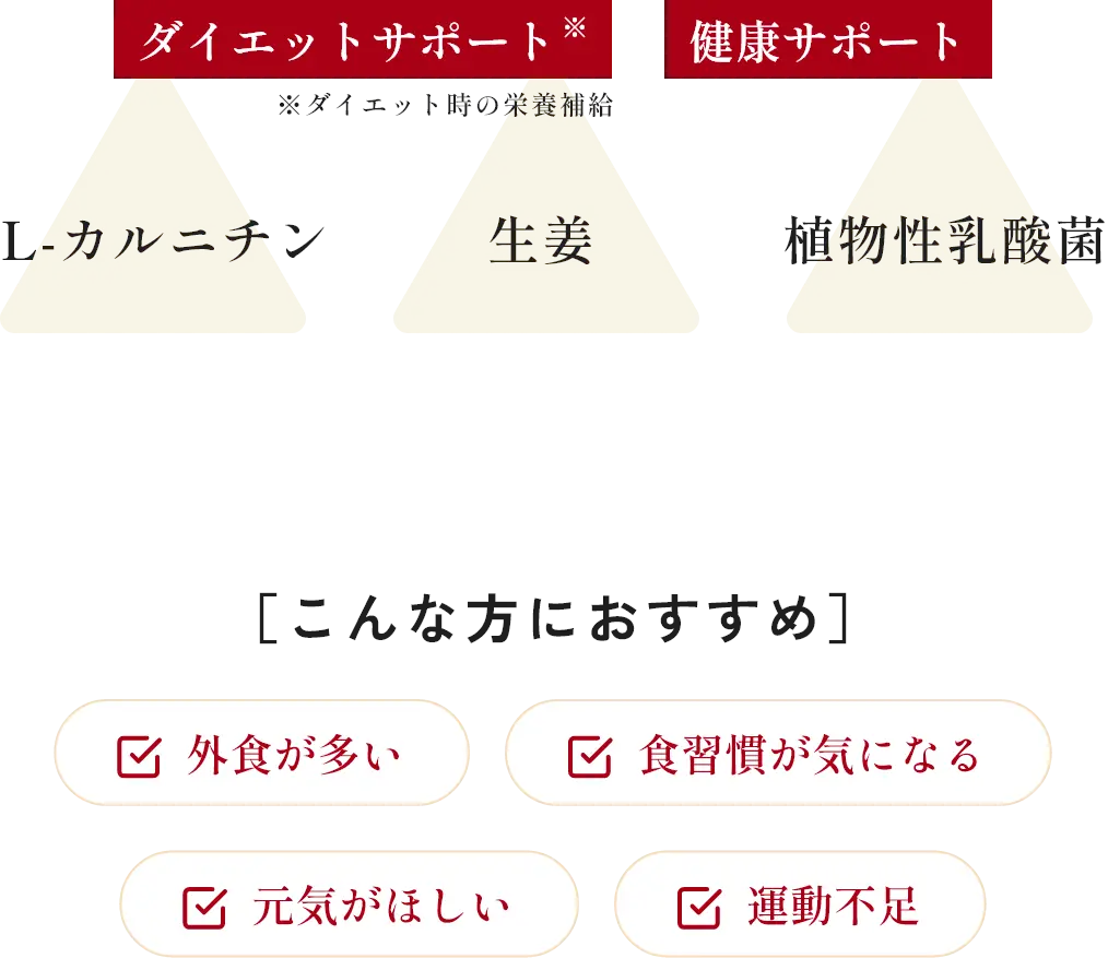 ダイエットサポート 体内環境サポート L-カルニチン 生姜 植物性乳酸菌