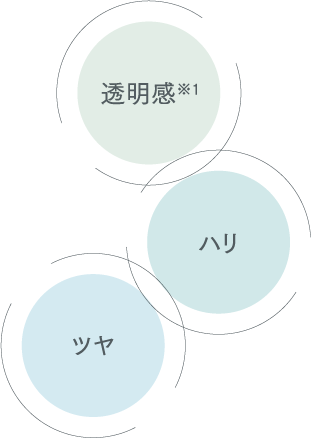 透明感※1 ハリ ツヤ
