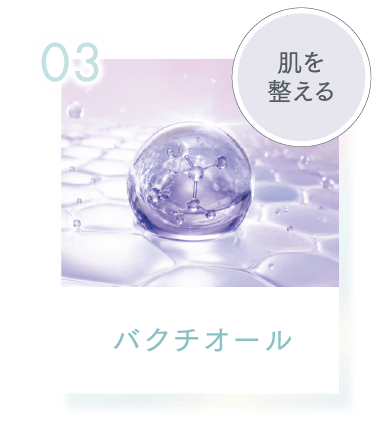 03 肌を整える バクチオール