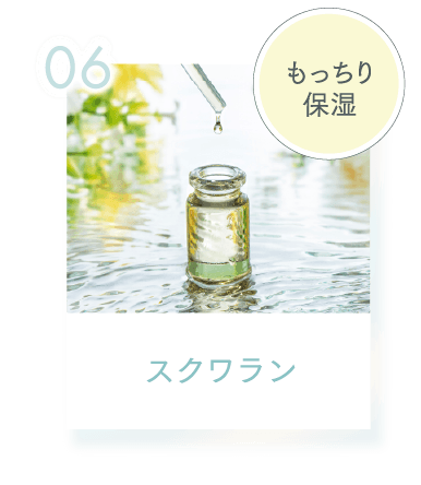 06 もっちり保湿 スクワラン